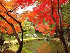 韩国