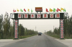 塔里木沙漠公路图片
