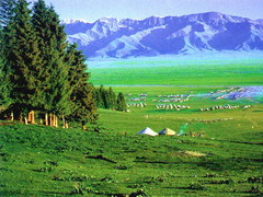 阿尔泰山3