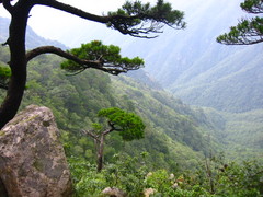 龙王山图片
