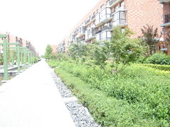 小区内道路