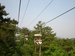 DSC06538