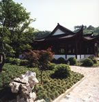 三衢石林图片