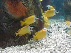 圣亚海洋世界 9