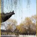  珍珠泉 江苏 南京 珍珠泉3