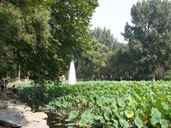 北京航空航天大学图片