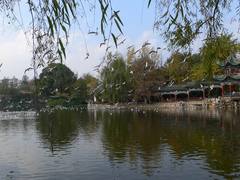 翠湖公园图片