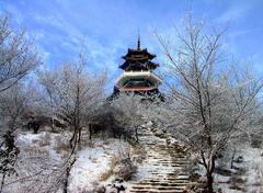 雾淞图片