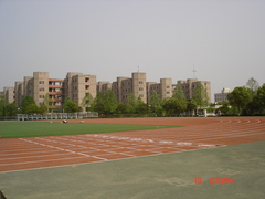 DSC02009