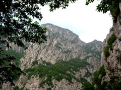 三皇寨图片