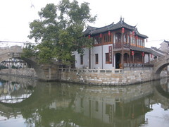 枫泾图片