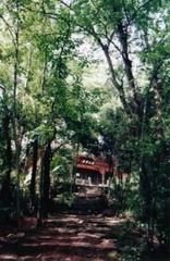 南山风景区图片