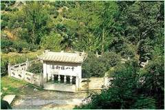 龙井问茶图片