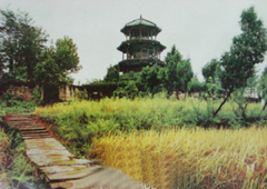 圣寿寺
