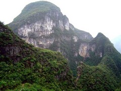 龙缸图片