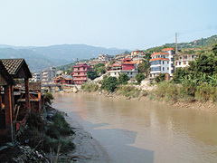 马尾 马尾