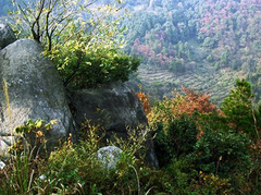 梅岭