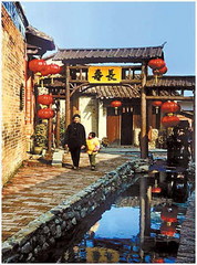 金林水乡