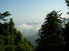茫荡山