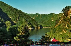 孟达保护区图片
