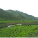 甘肃 兰州 大夏河