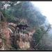 四川 峨眉山 东方佛都