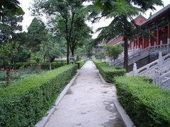 大兴善寺图片