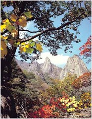 雪岳山 soraksanpark23
