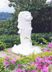 花芭山 