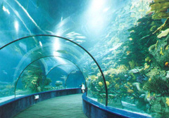 海底世界 
