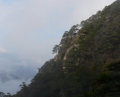 排云亭图片