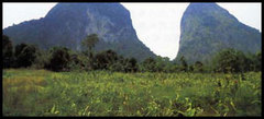 N_perlis_g