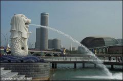 鱼尾狮公园 yu2