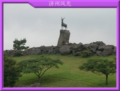 济州岛 济州岛8