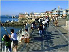 月尾岛 wolmido03