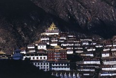 白玉寺图片