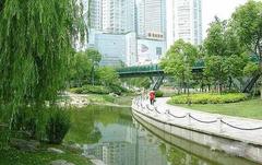衡山路图片