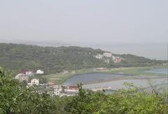 金山图片
