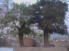 韩村河图片