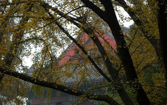 南京师范大学图片