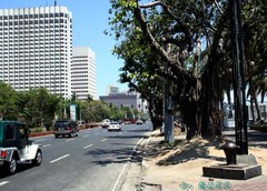 马尼拉 马尼拉7