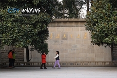 鲁迅公园图片