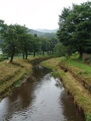 忍野八海 忍野八海内的一条小溪