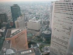 都厅观光台图片