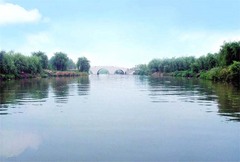 喜鹊湖`