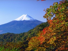 富士山 富士山50