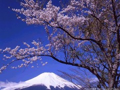 富士山 富士山1