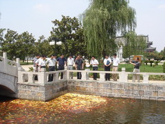 阜阳生态3