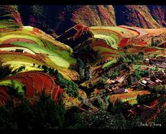 东川红土地图片