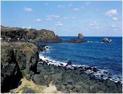 涉地可支 涉地可支